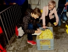 Bild 24 von 48